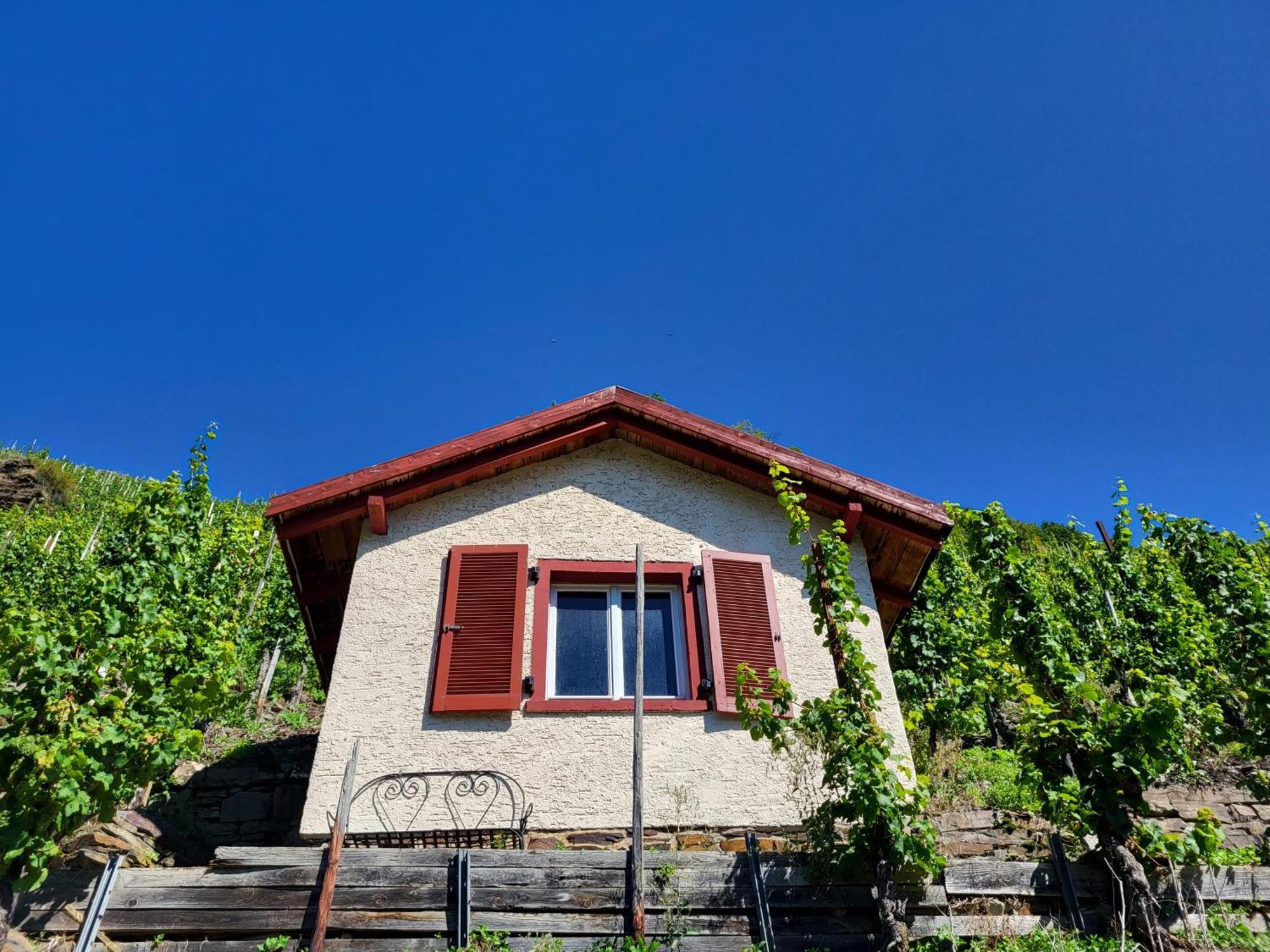 Ferienhaus-Am-Alten-Stadttor 埃迪格尔-埃莱尔 外观 照片